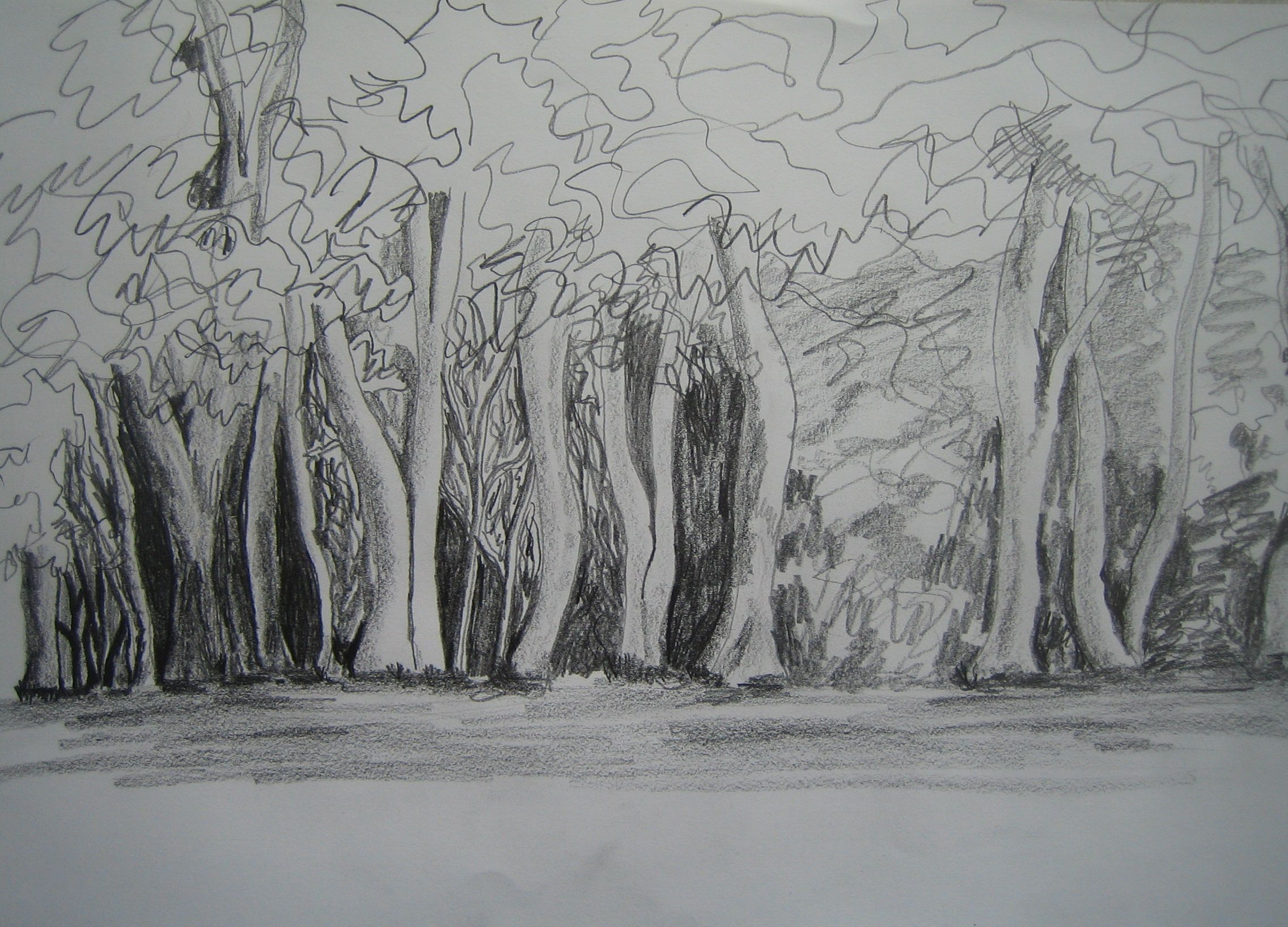 Woodland drawing